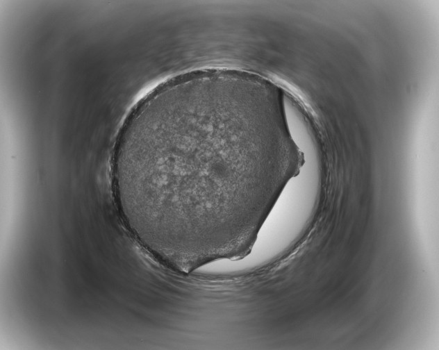 X0000087011264200704301410