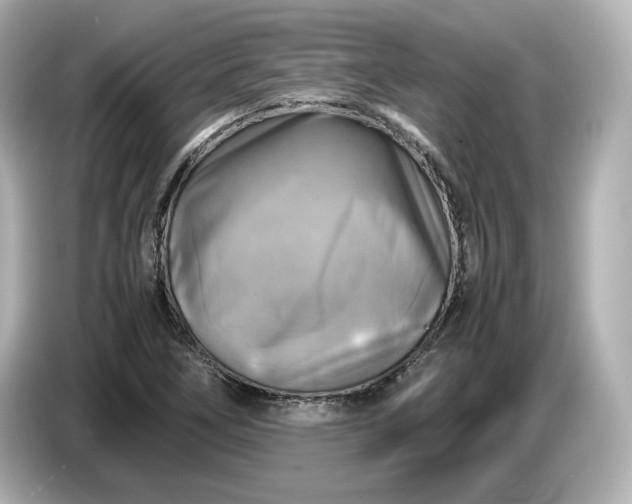 X0000087011266200704301410