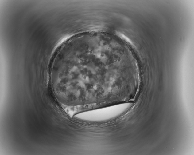 X0000087011267200704301410