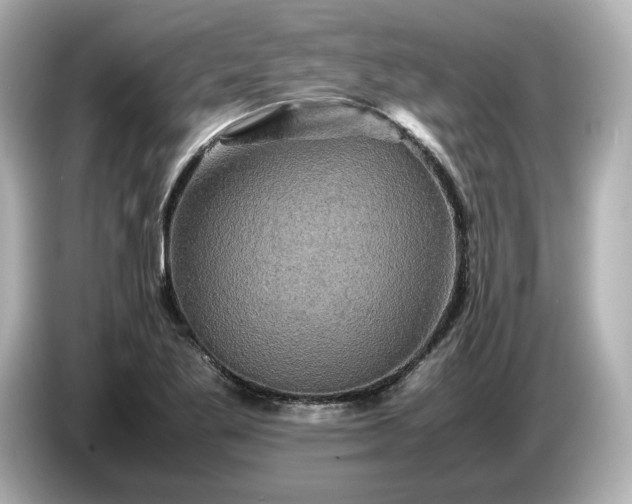 X0000087011269200704301410