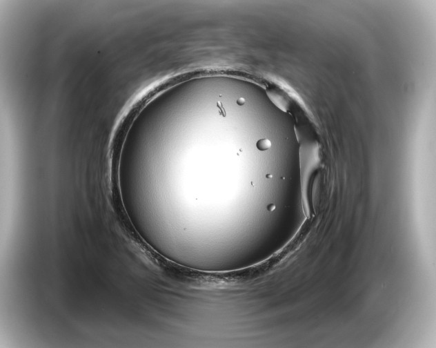X0000087011270200704301410