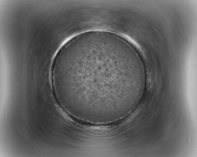 X0000087011272200704301410