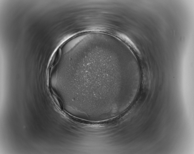 X0000087011276200704301410