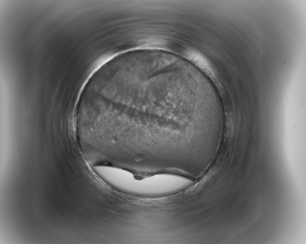 X0000087011284200704301410