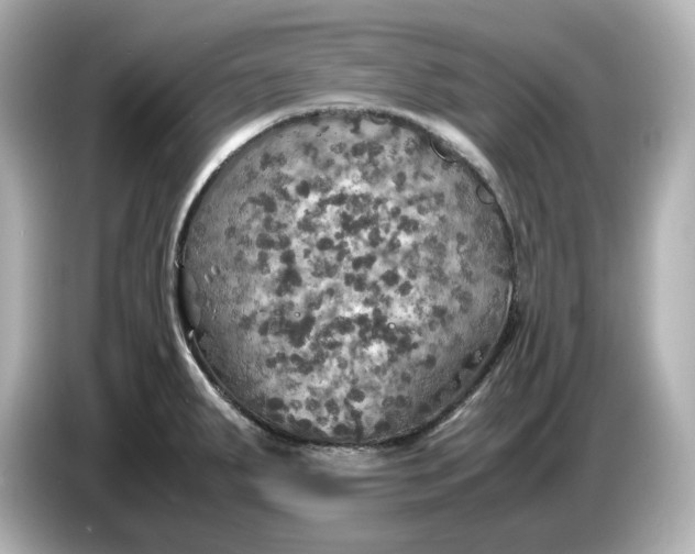 X0000087011287200704301410