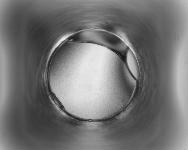 X0000087011293200704301410