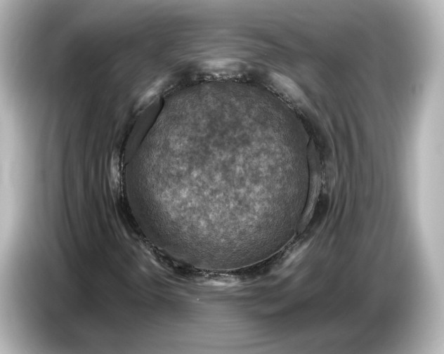 X0000087011298200704301409