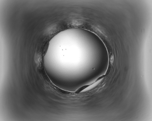X0000087011299200704301409