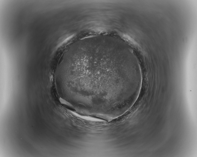X0000087011302200704301409