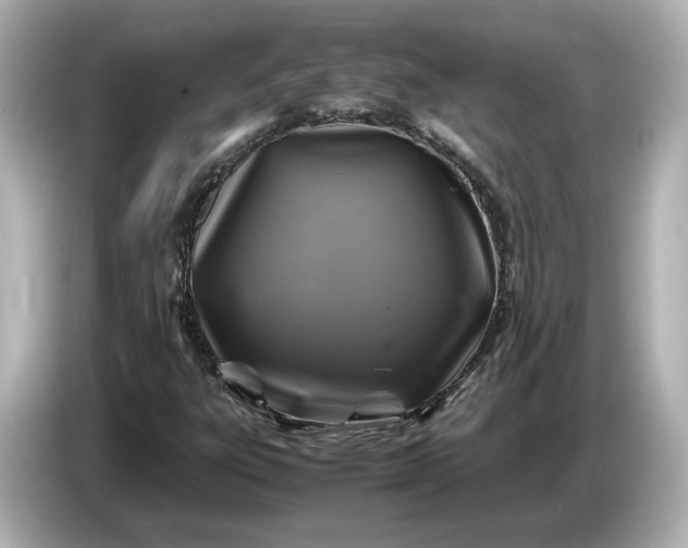 X0000087011303200704301409