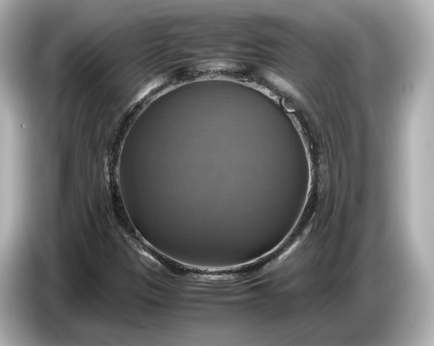 X0000087011305200704301410