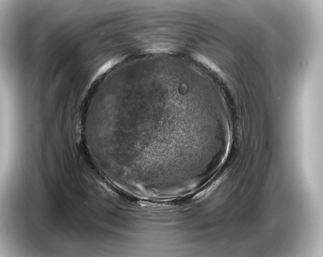 X0000087011306200704301410