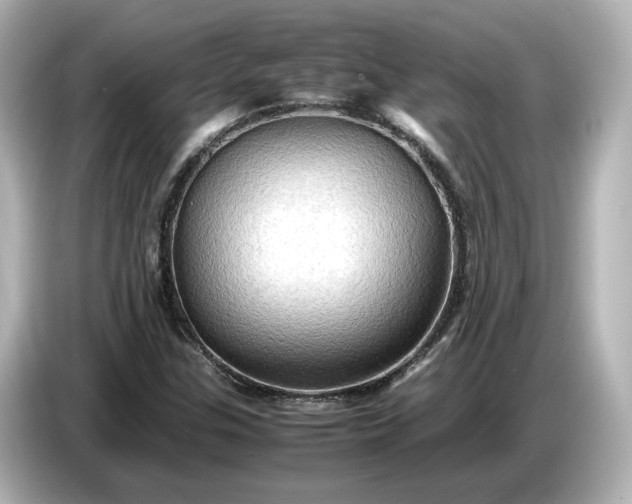 X0000087011307200704301410