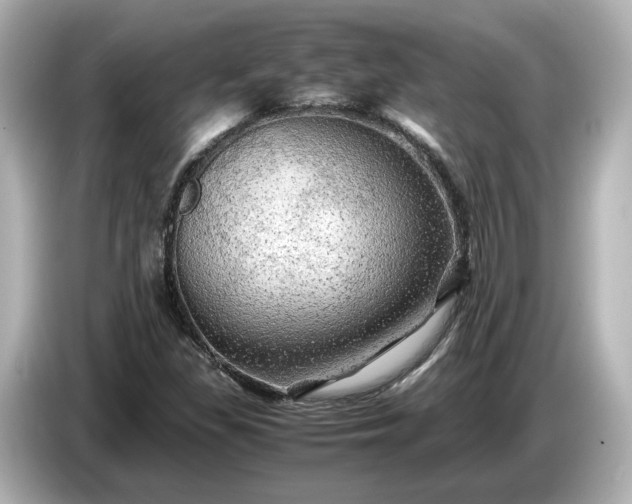 X0000087011309200704301410
