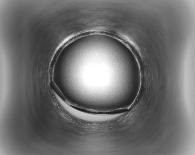 X0000087011316200704301410