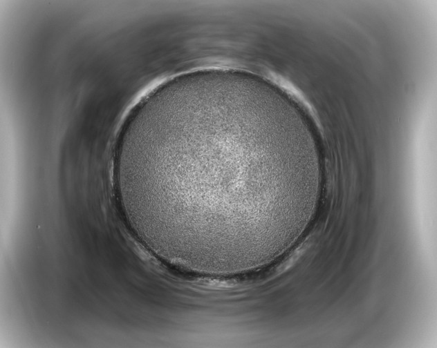 X0000087011318200704301410