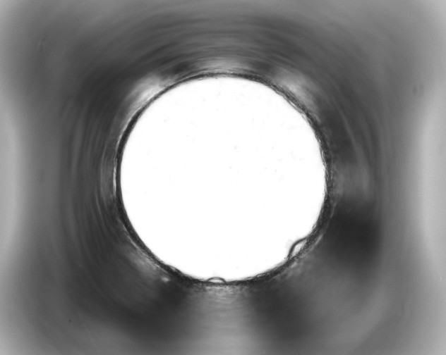 X0000087011322200704301410