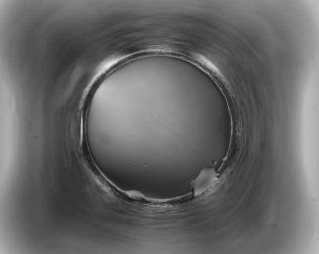 X0000087011323200704301410