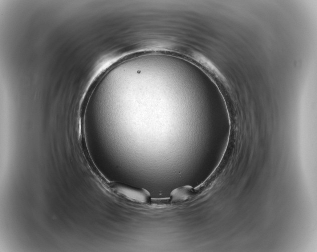 X0000087011324200704301410