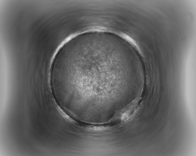 X0000087011326200704301410