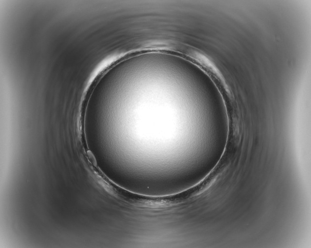 X0000087011328200704301410