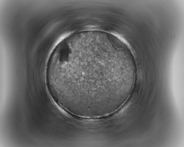 X0000087011333200704301410
