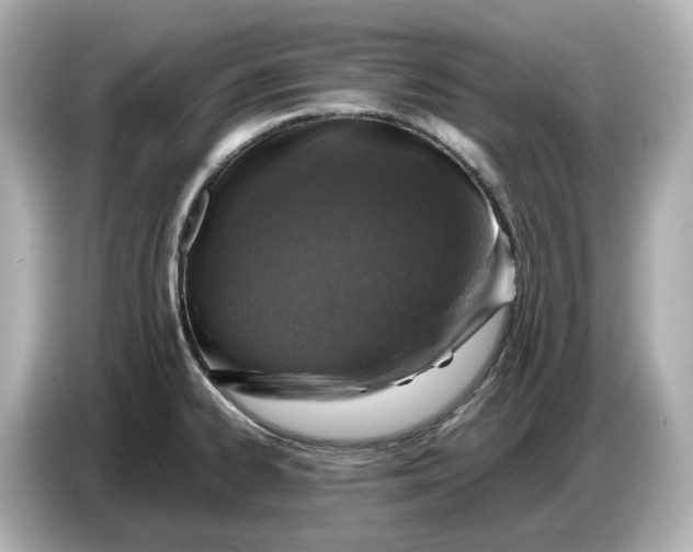 X0000087011334200704301410