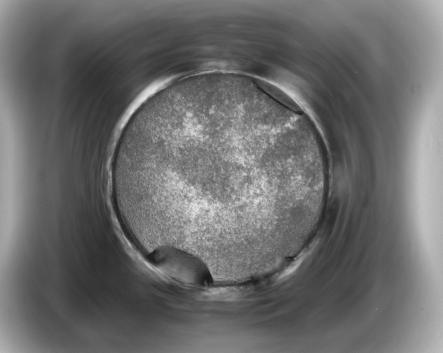 X0000087011341200704301410