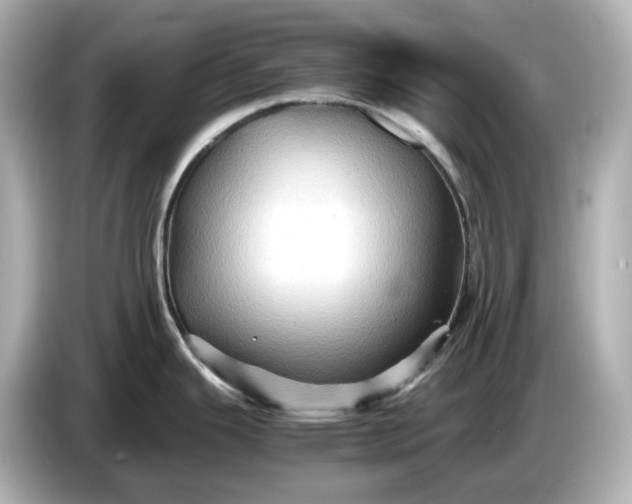 X0000087011343200704301410