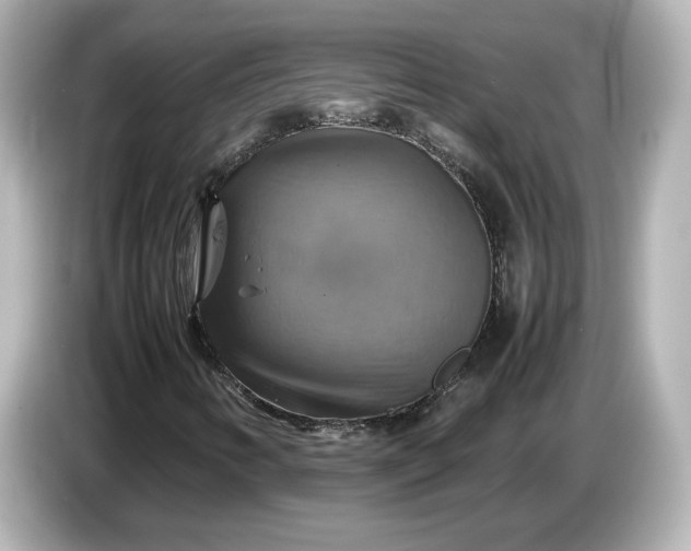 X0000087011346200704301409