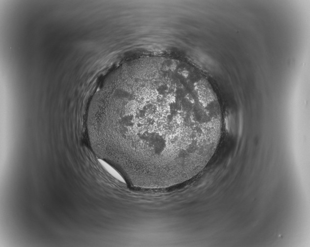 X0000087011347200704301409