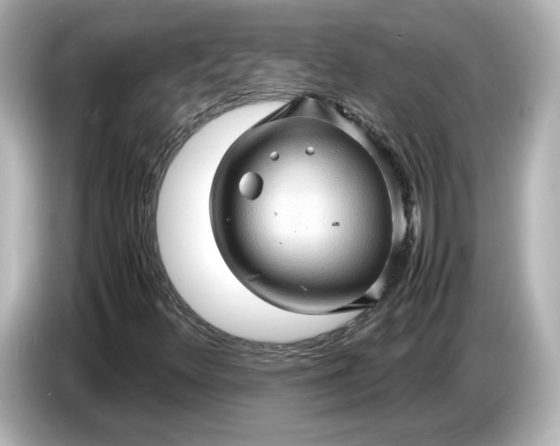 X0000087011348200704301409