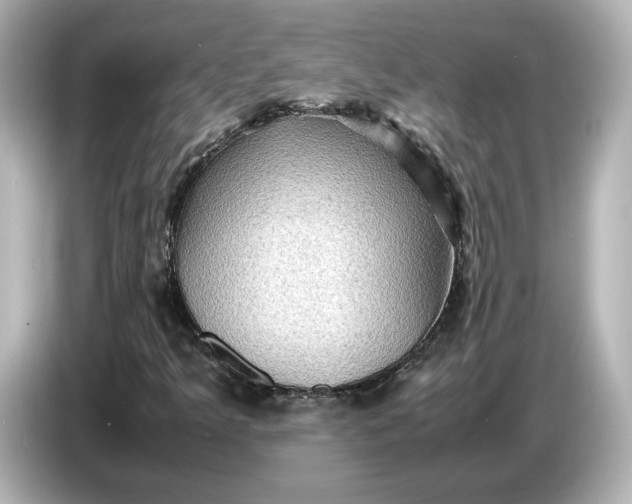 X0000087011349200704301409