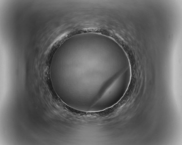 X0000087011351200704301409
