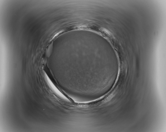 X0000087011353200704301409