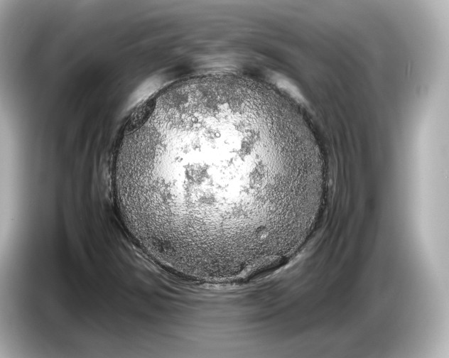 X0000087011354200704301409