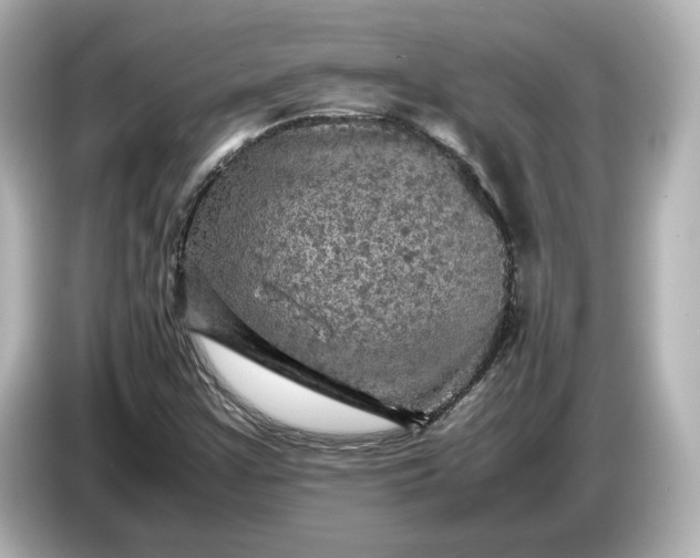 X0000087011355200704301409