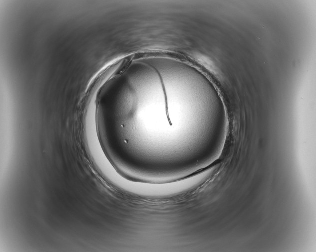 X0000087011356200704301409
