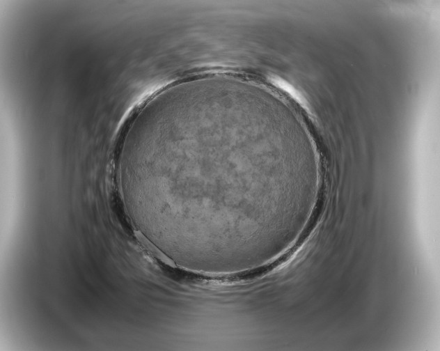 X0000087011357200704301409