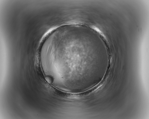 X0000087011358200704301409
