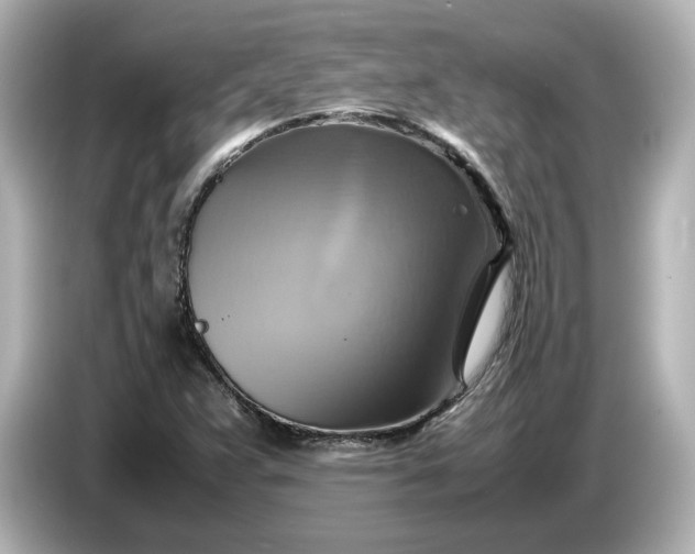 X0000087011359200704301409