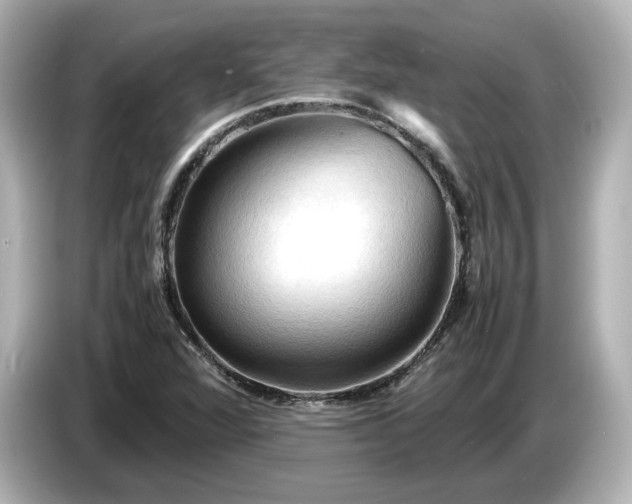 X0000087011360200704301409
