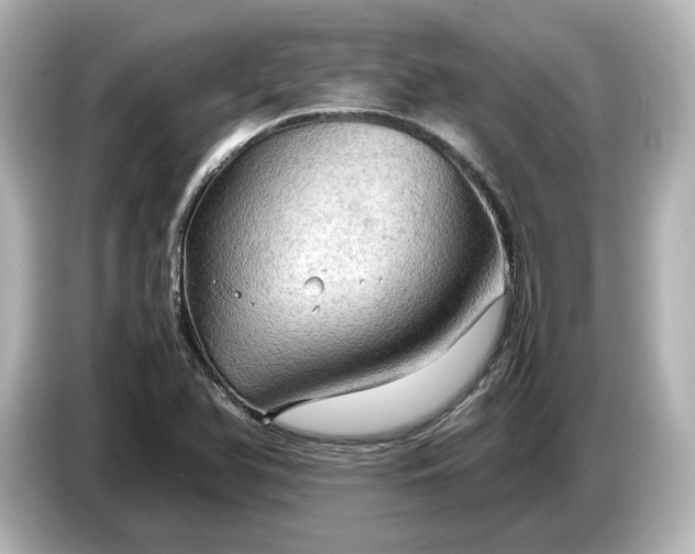 X0000087011366200704301409