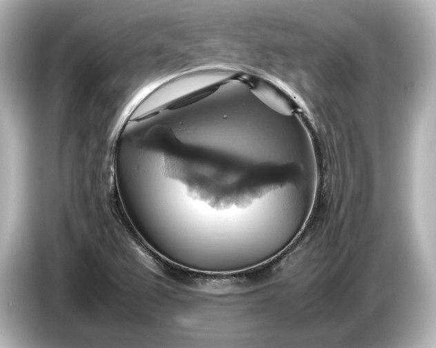 X0000087011367200704301409
