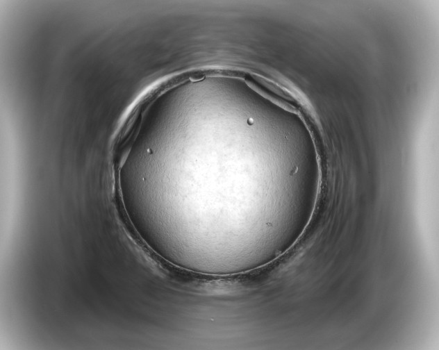 X0000087011368200704301409