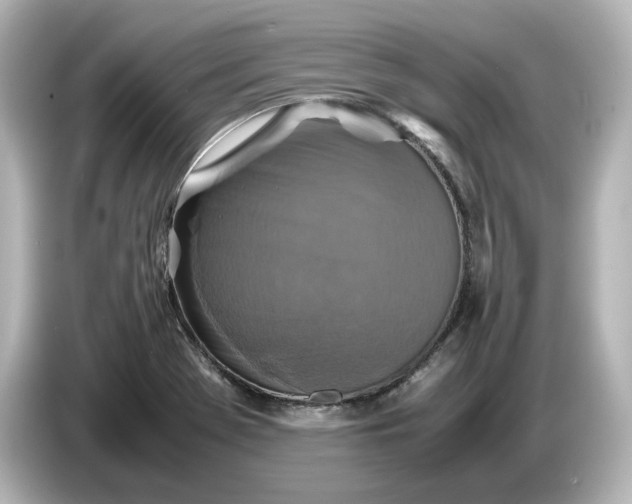 X0000087011369200704301409