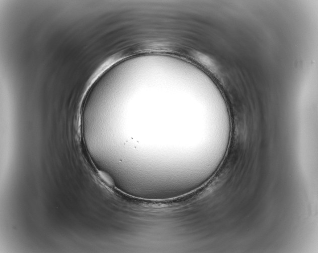X0000087011370200704301409