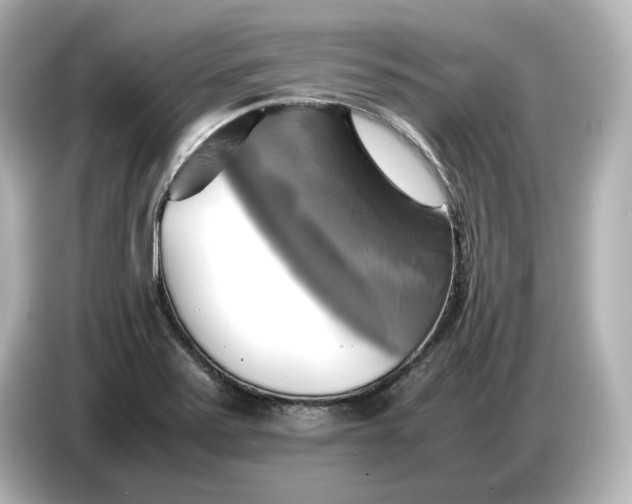 X0000087011371200704301409