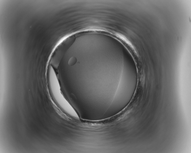 X0000087011372200704301409