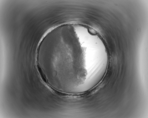 X0000087011374200704301409